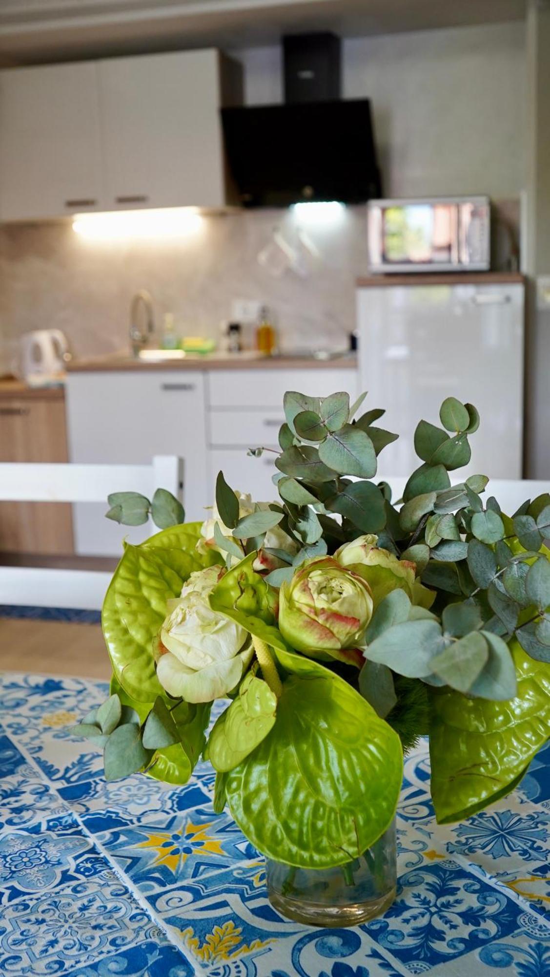 Apartments Ivo Rovinj Croatia المظهر الخارجي الصورة